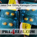 Jalea Oral 100Mg Kamagra Cómo Usar cialis5